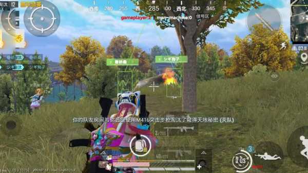如何识别和防范和平精英游戏中的外挂行为